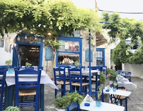 A charming outdoor restaurant area with blue wooden chairs and white tables, set in a quaint stone courtyard. Green vines and plants create a natural canopy overhead, providing shade and a cozy atmosphere. The stone walls in the background feature decorative blue windows and doors, complementing the vibrant Mediterranean style.