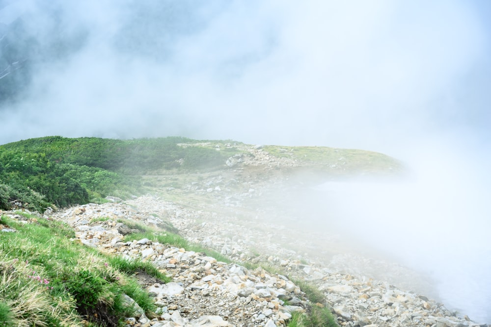 mist on green mountain