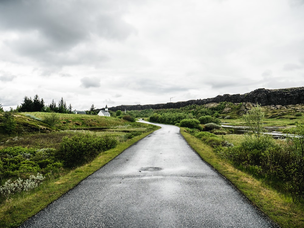 black asphalt road surrounded by trees