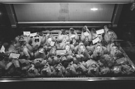 Rows of raw poultry are displayed inside a refrigerated glass case, each labeled with tags indicating price and type. The black and white image conveys a sense of a traditional butcher shop or market setting, emphasizing the variety of meats available for purchase.