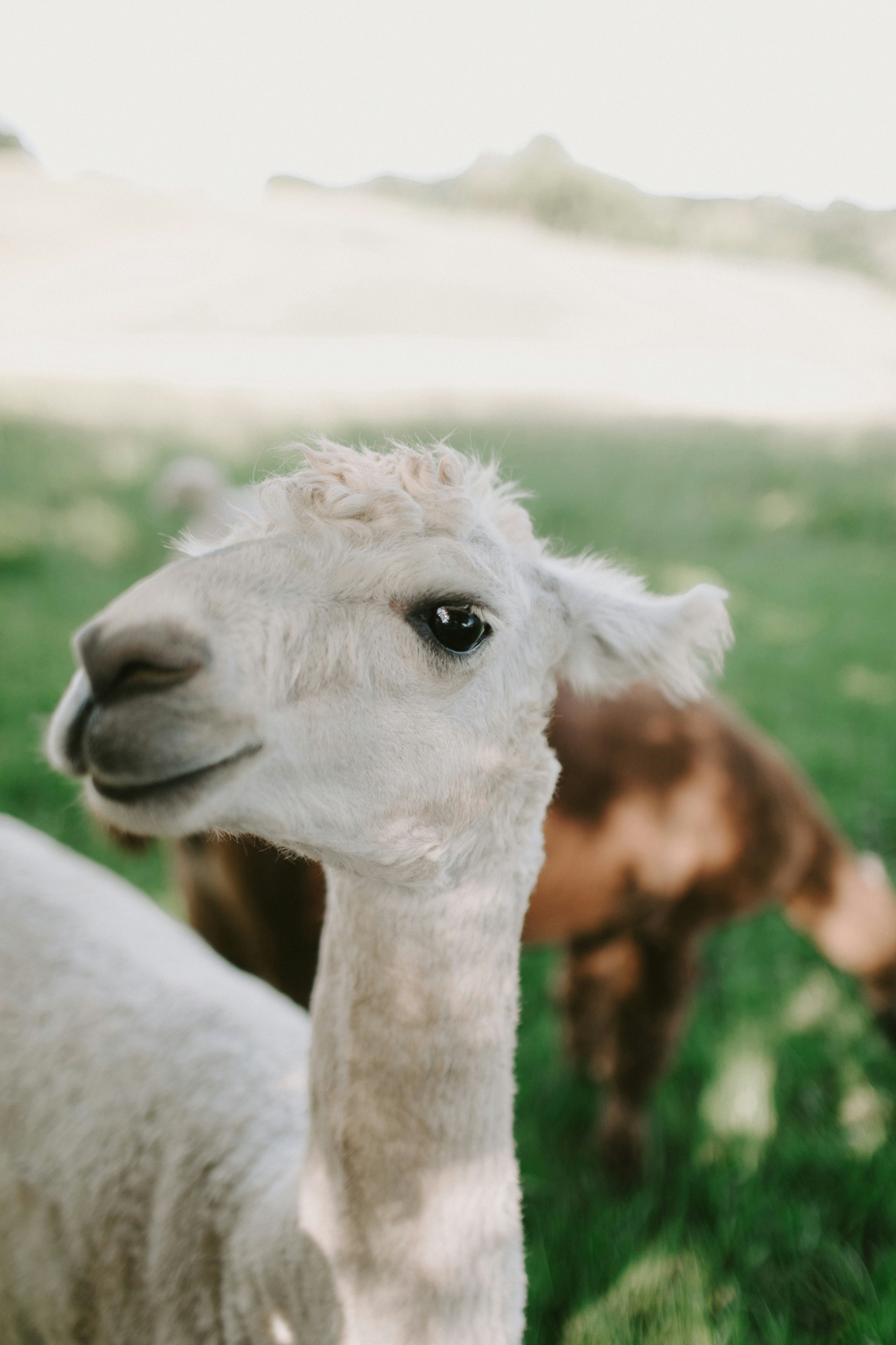 Photo by kellyrusso01