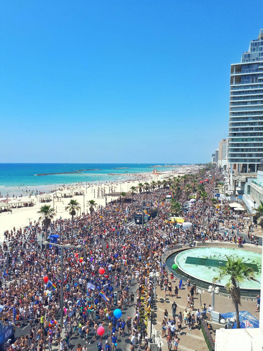 people on seashore beach