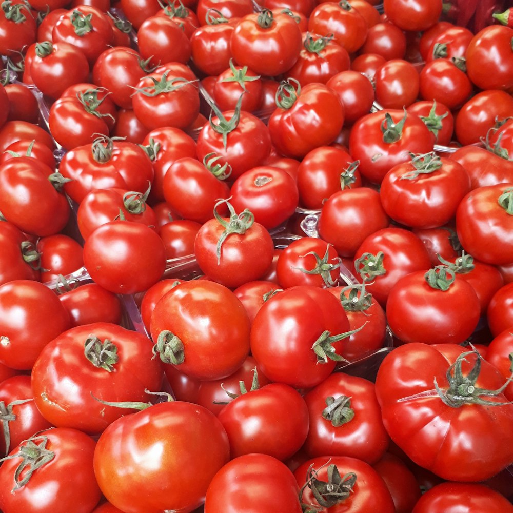 tomatoes wallpaper