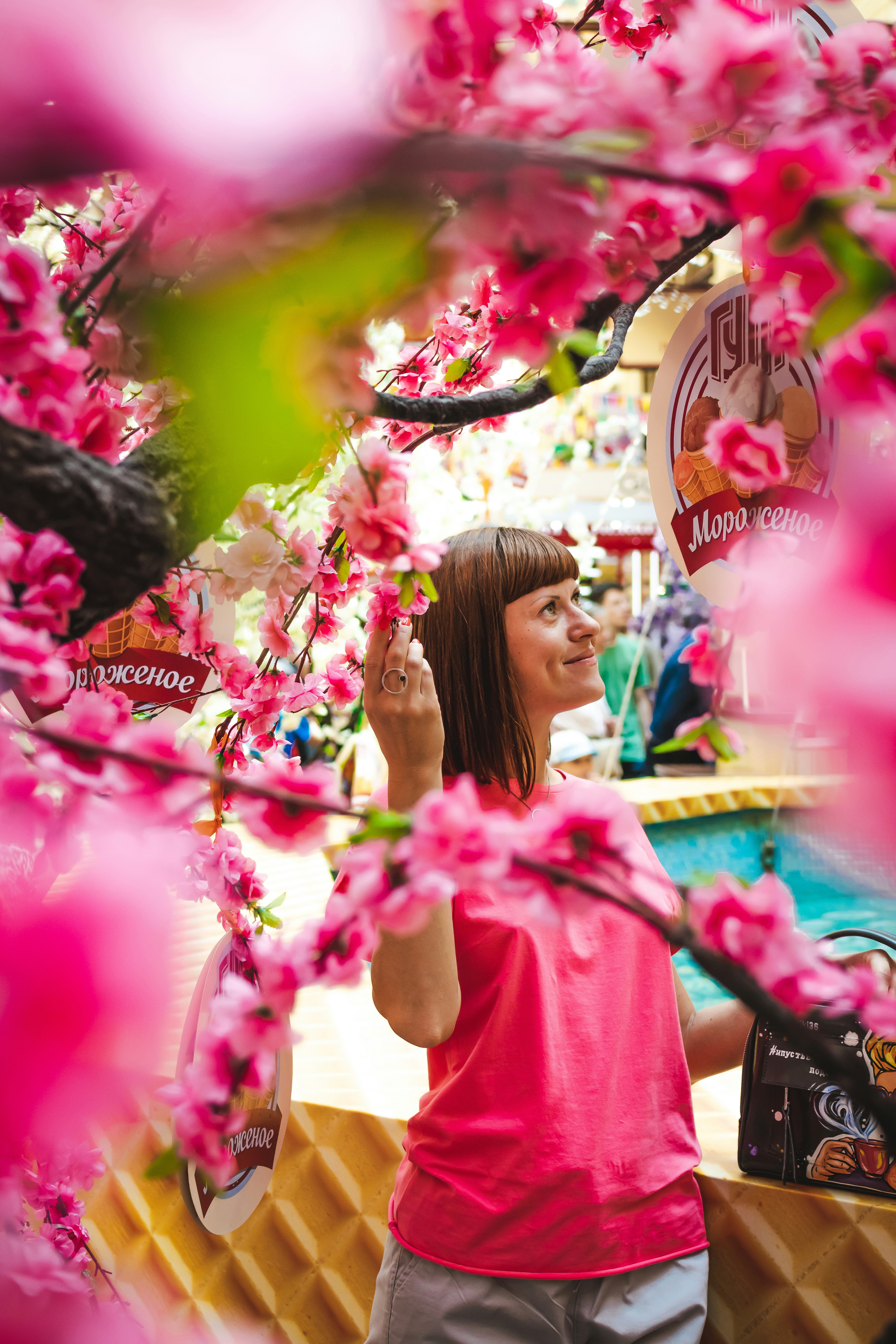 Japanese Festival Gourmet