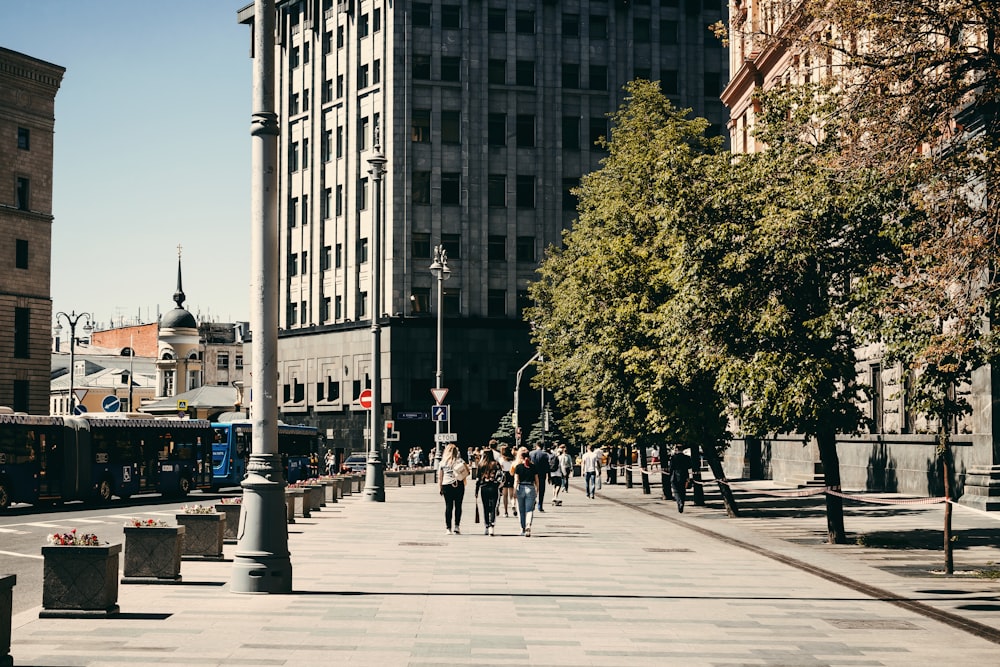 people walking on sidewalk at daytime