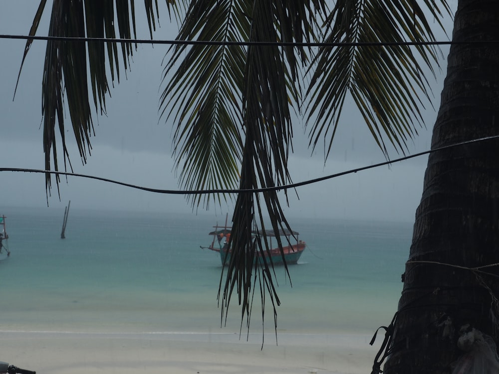 bateau sur la mer