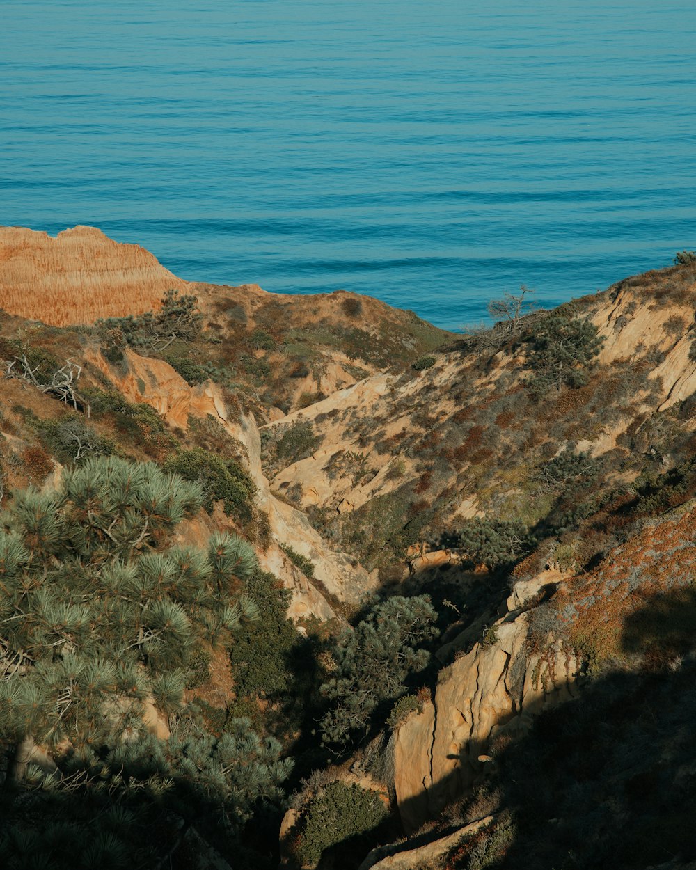 aerial photo of brown mountains near ocean during daytime