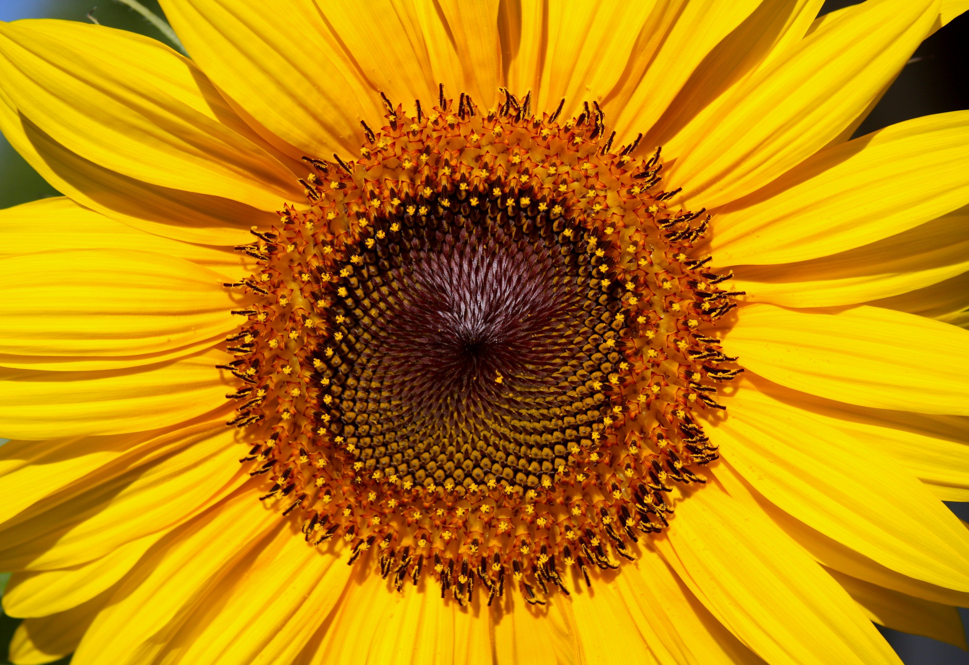 Photo by melanie_kreutz