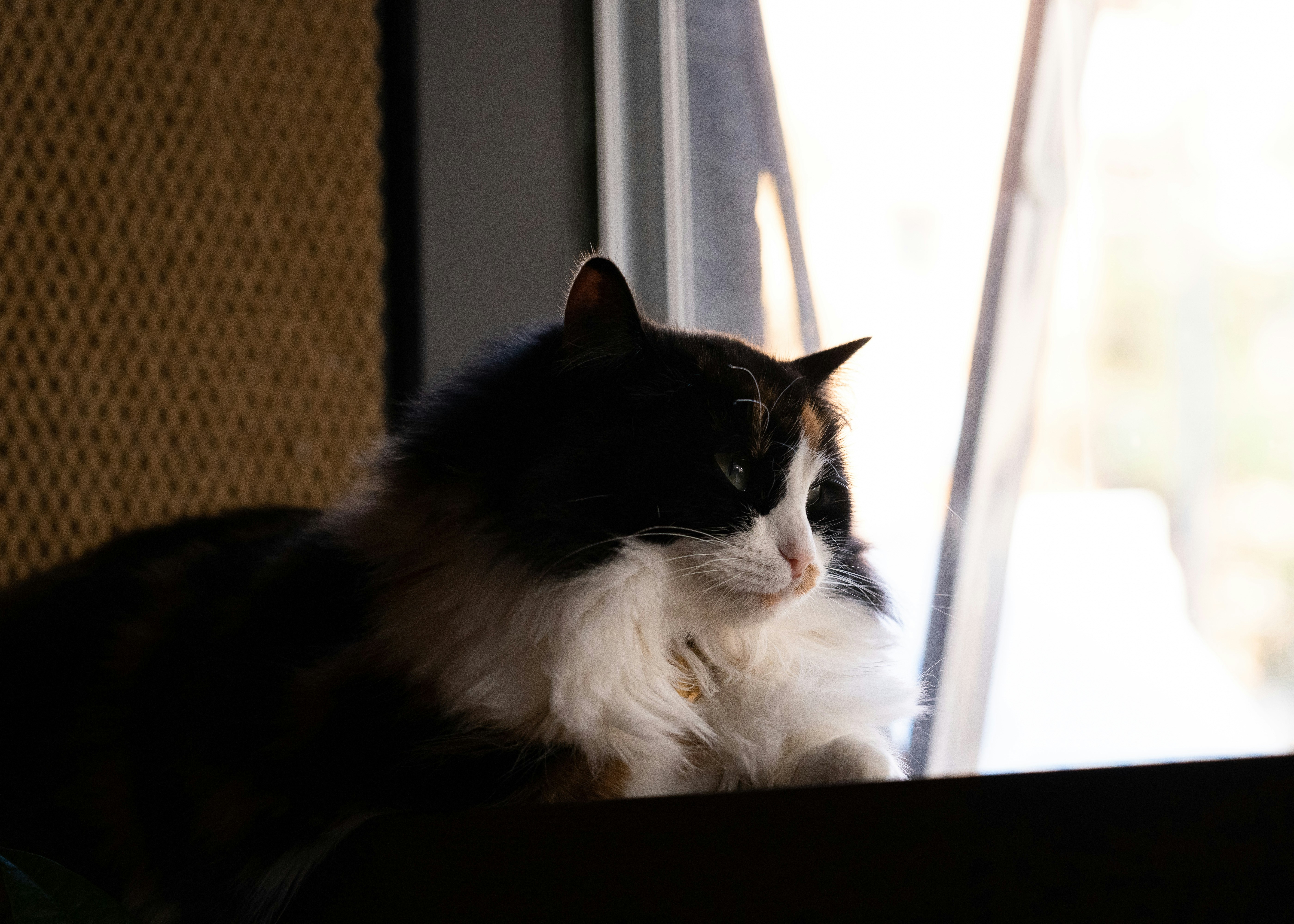 Photo by rasmusgerdin