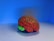 A model of a human brain with intricate detailing is placed on a smooth surface. The brain is illuminated with vibrant red veins and a green base against a vivid blue background, creating a striking contrast.