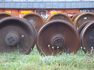 Rows of rusted train wheels are arranged on grassy ground in front of a graffiti-covered wall. The wheels are large and industrial, with visible wear and rust. The grass is overgrown with some small wildflowers scattered throughout.