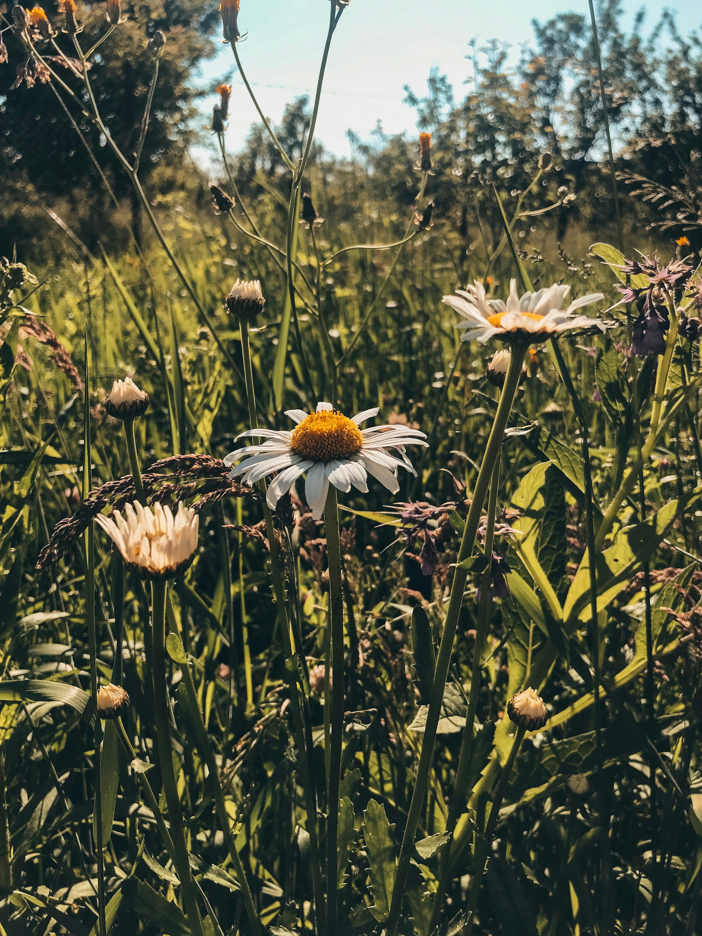 Photo by crinaparasca