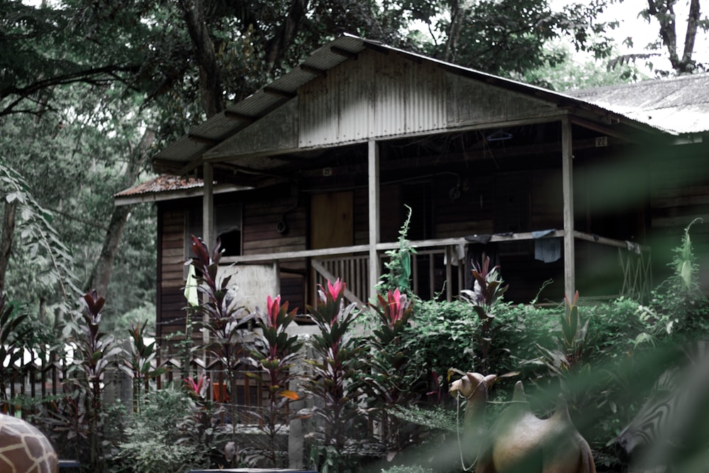 gray wooden house under the tree at daytime