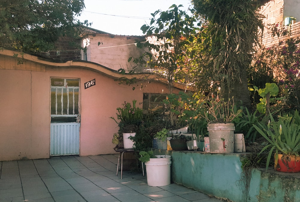 Plantes à l’extérieur de la maison