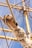 A close-up view of a wooden pulley and thick rope on a sailing ship. The ropes are weathered and frayed, indicating use and exposure to the elements. In the background, the ship's masts and rigging are visible against a clear blue sky.