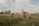 A happy farmer standing next to a bale of fresh alfalfa in a sunny ranch field.