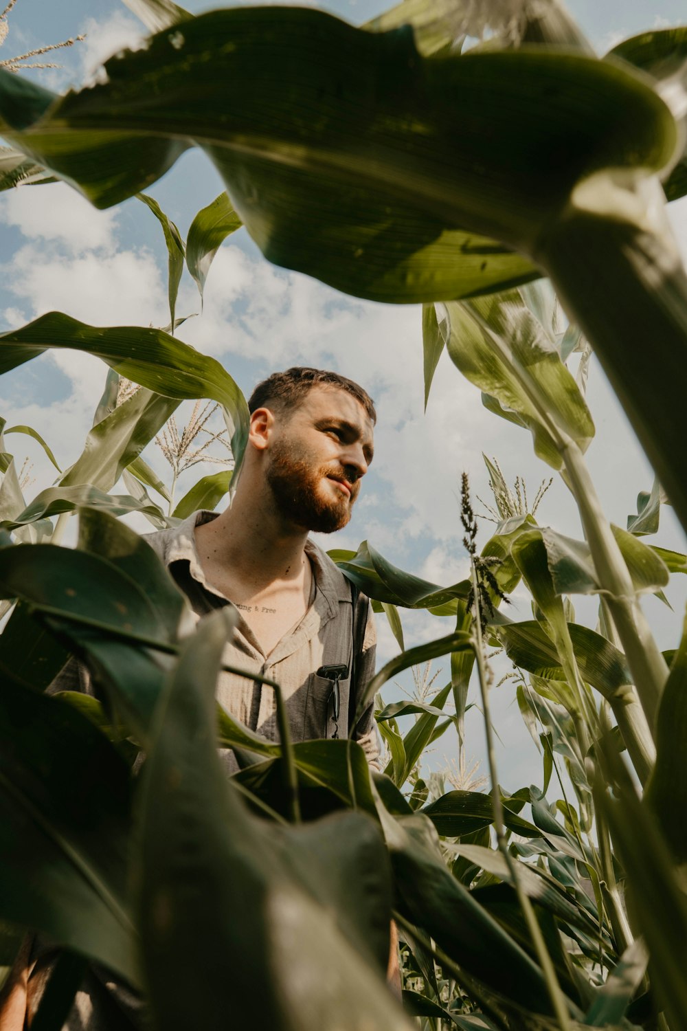 man wearing gray polo shirt standing in green leaf plants