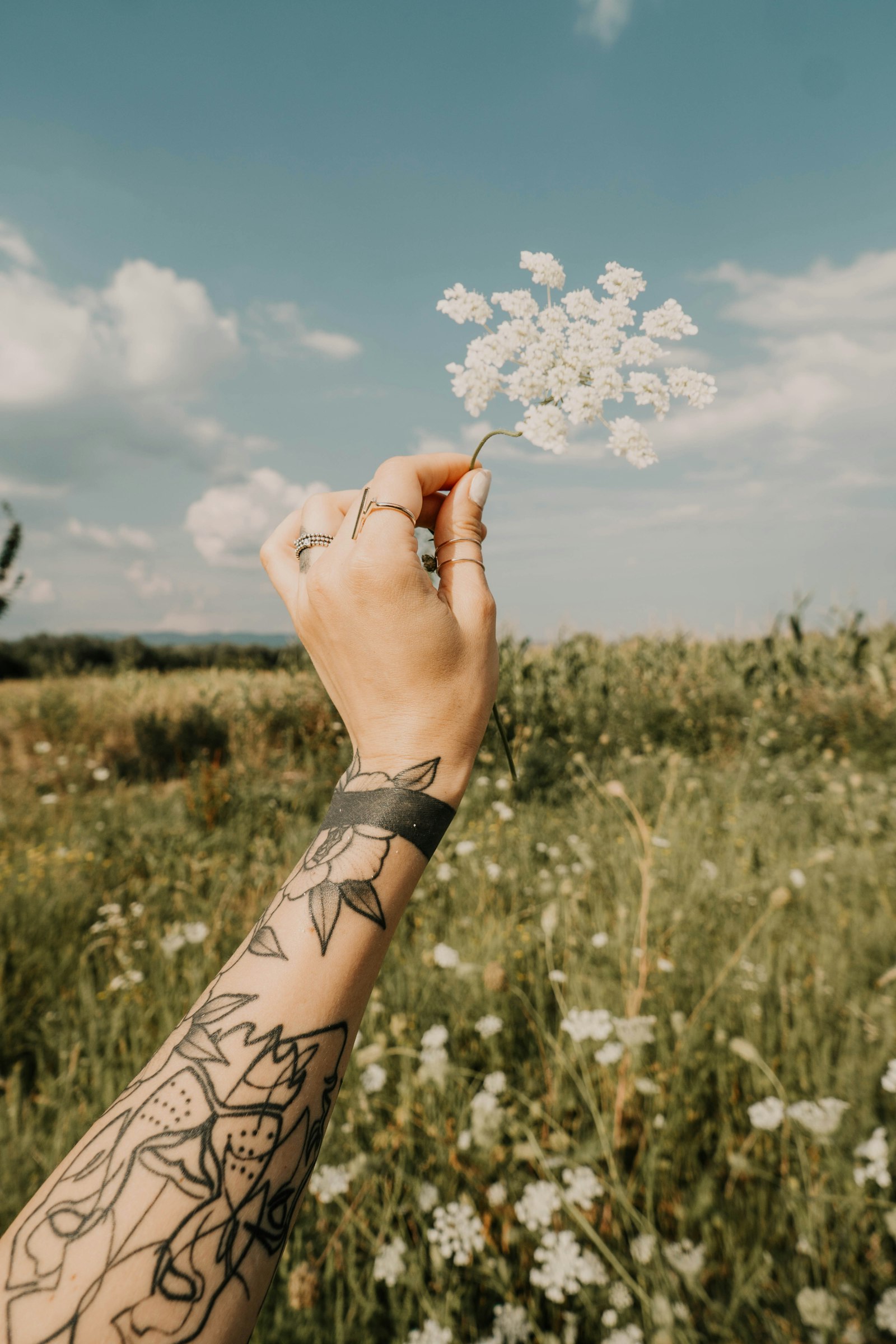 Samyang AF 14mm F2.8 FE sample photo. White-petaled flowers photography