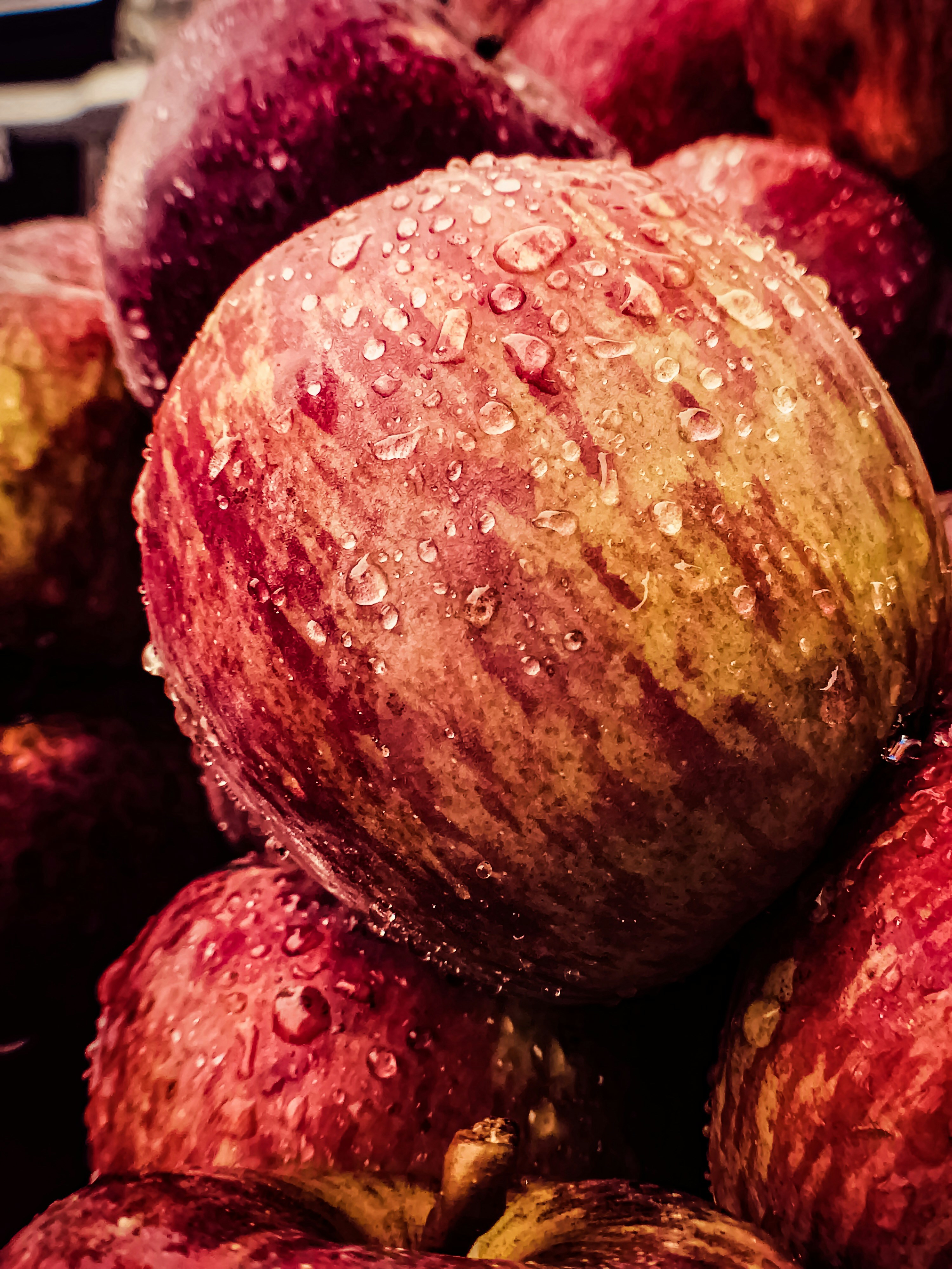 Photo by ashish_2931