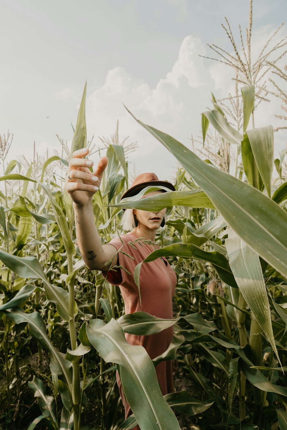 woman in corn field