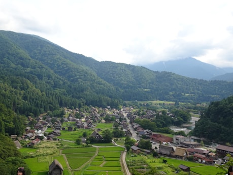 A picturesque panoramic view of a rural village with traditional wooden houses nestled in a lush, green valley surrounded by dense forested mountains. The village is characterized by its harmonious integration with the natural landscape, and a river runs alongside it, enhancing the idyllic setting.