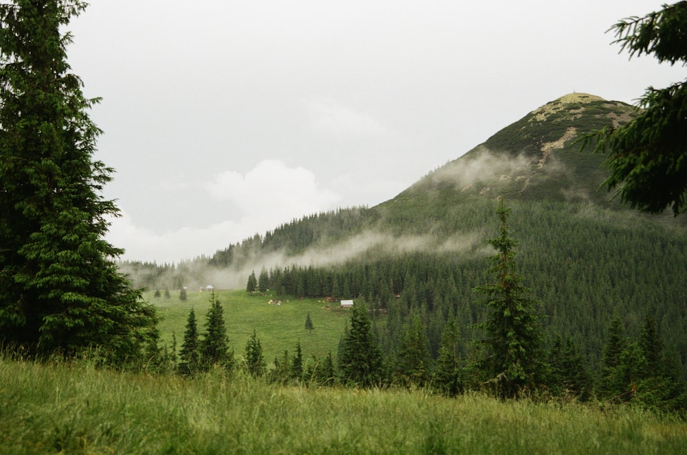 green mountain during daytime