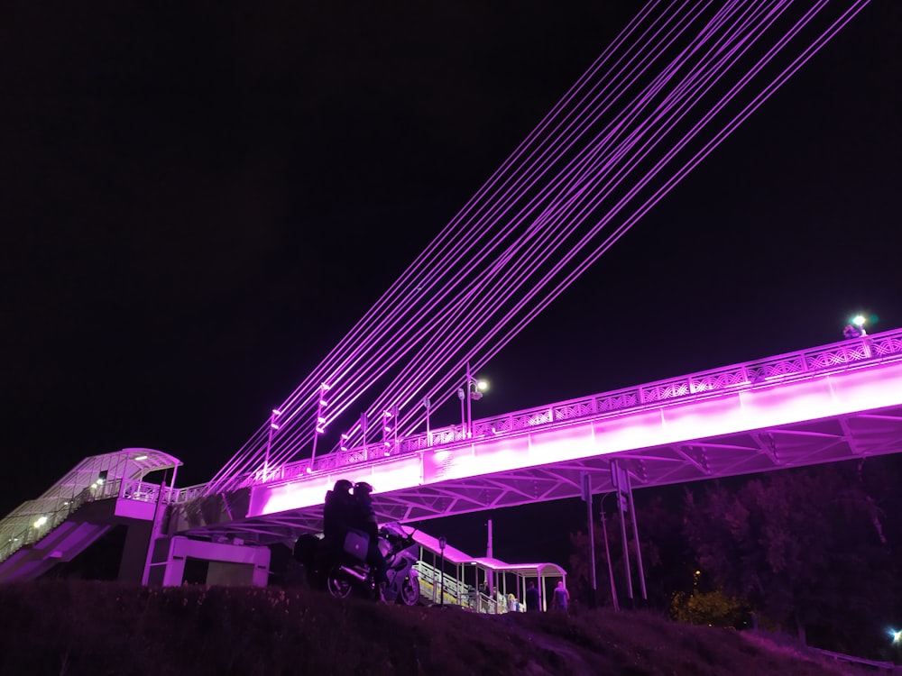 architectural photography of purple-lighted bridge
