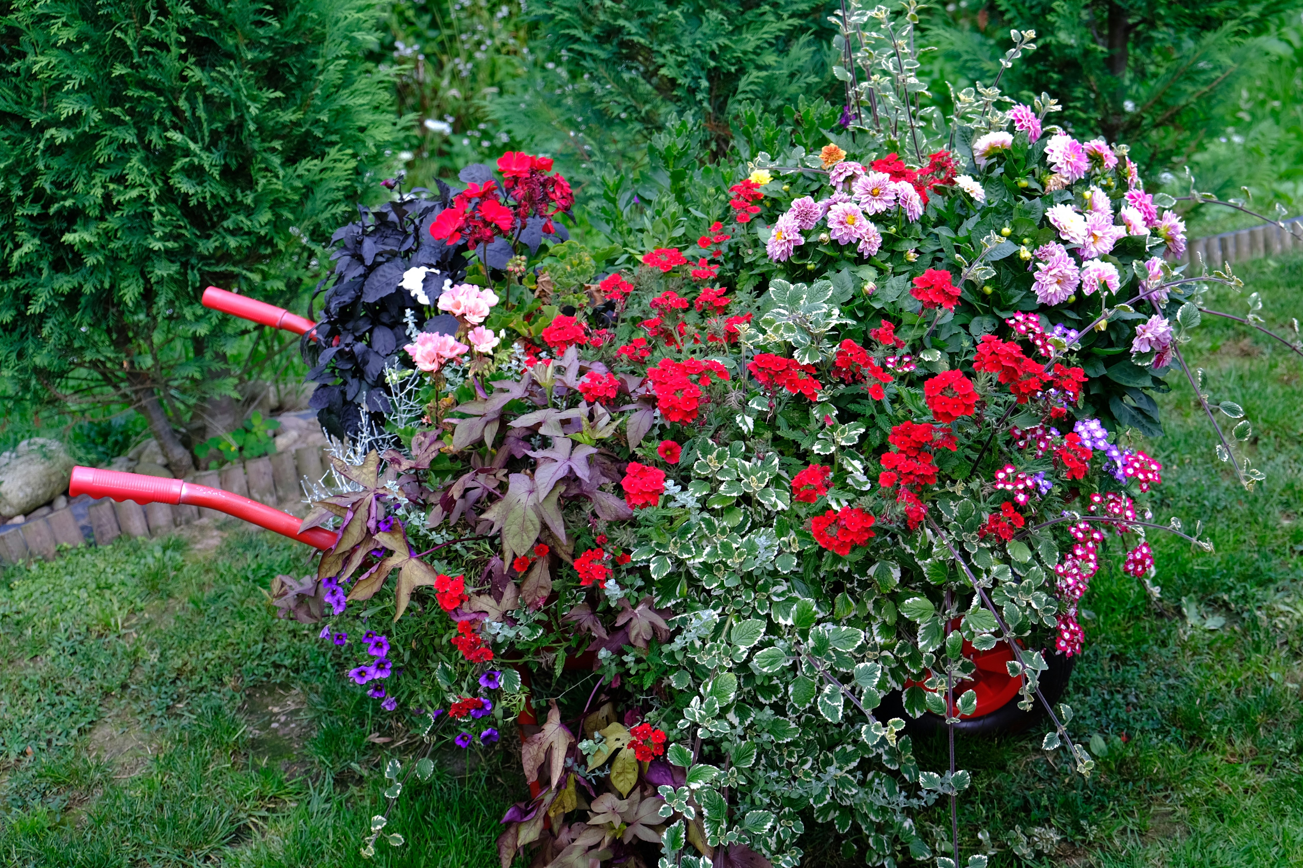 Container gardening for small spaces - Lush flower-filled container garden