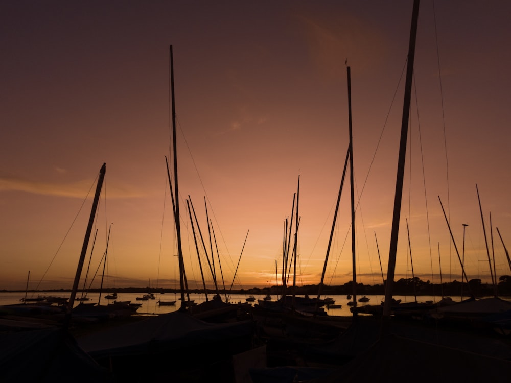 silhouette of posts during golden hour time