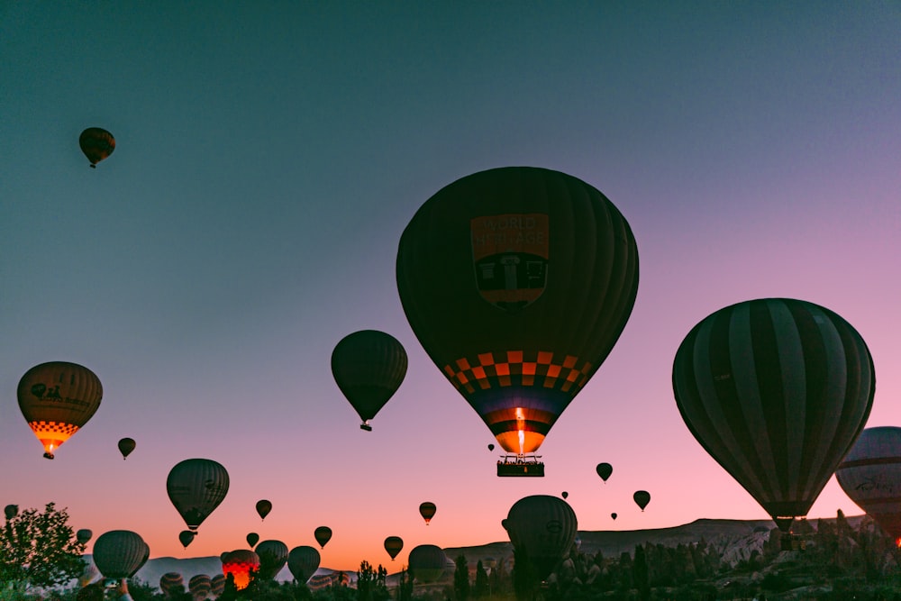 hot-air balloon during golden hour