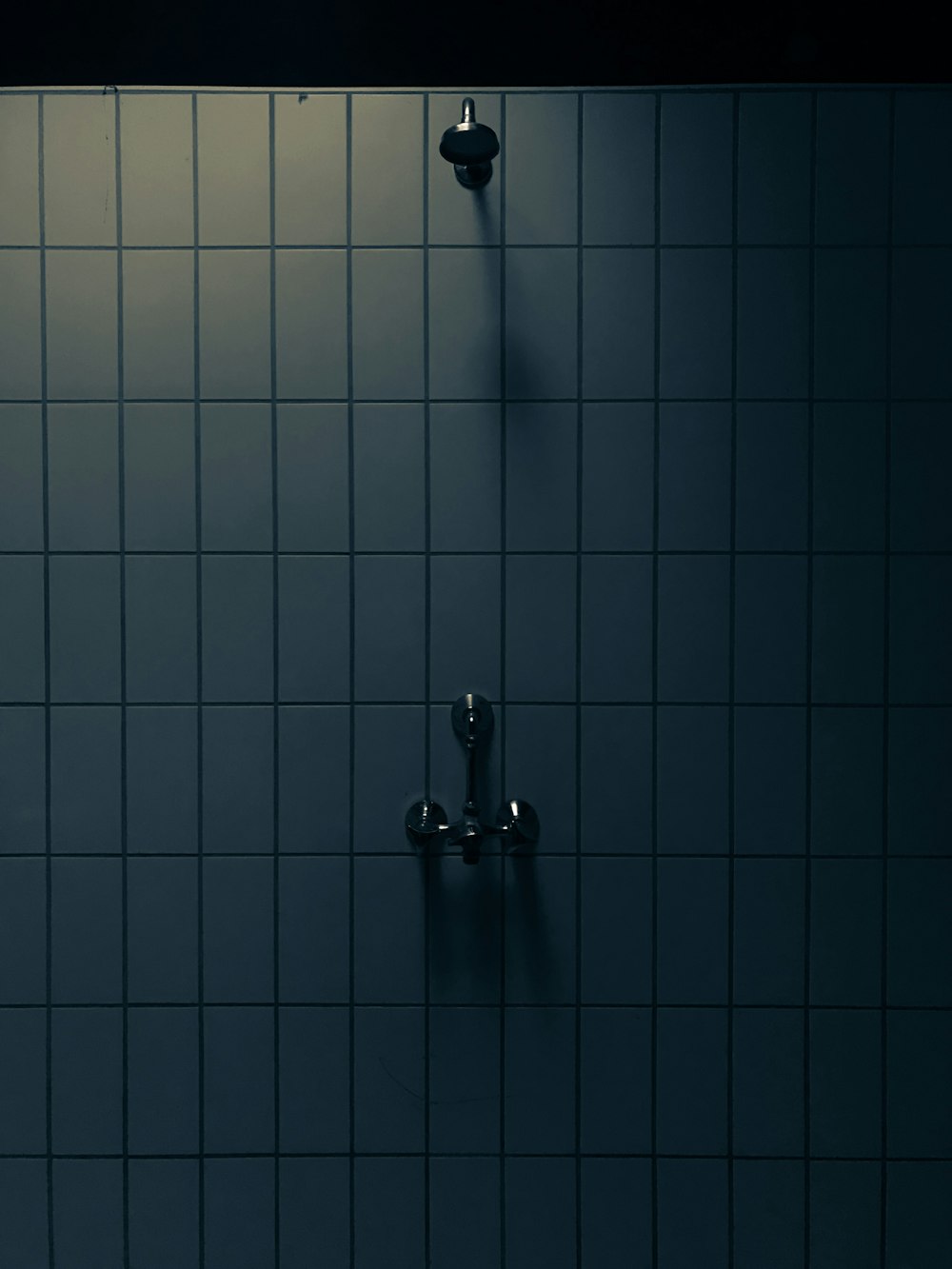 gray shower head