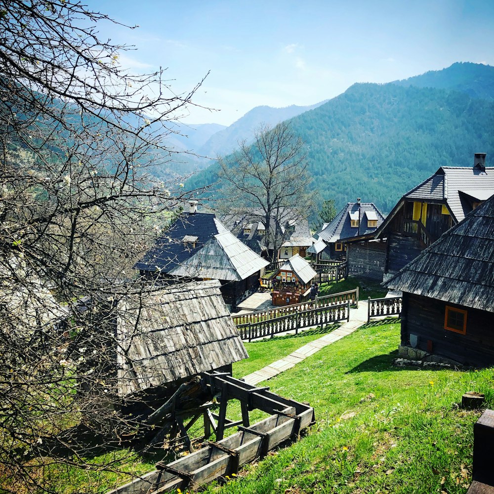 brown wooden house