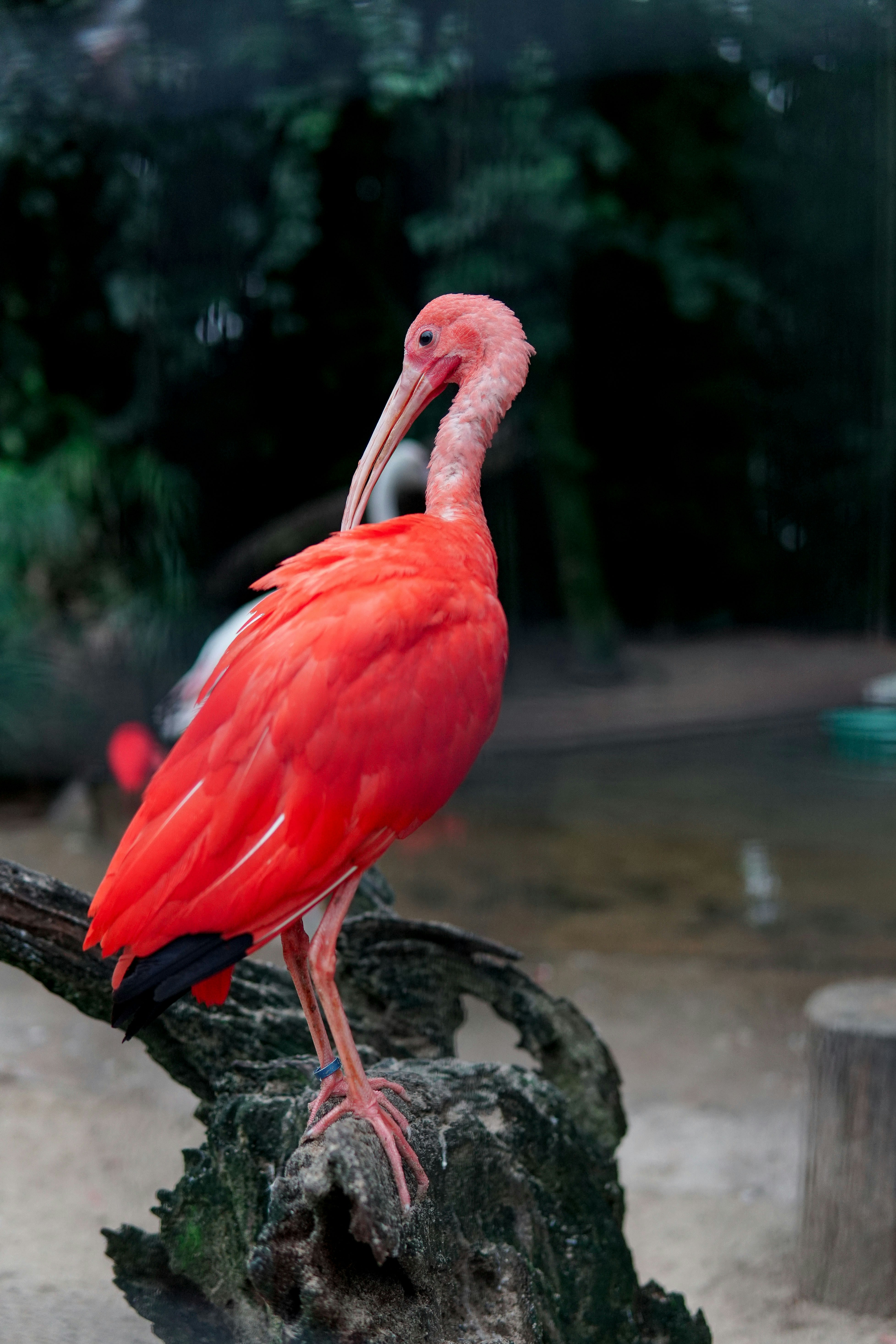 Photo by victorrutka