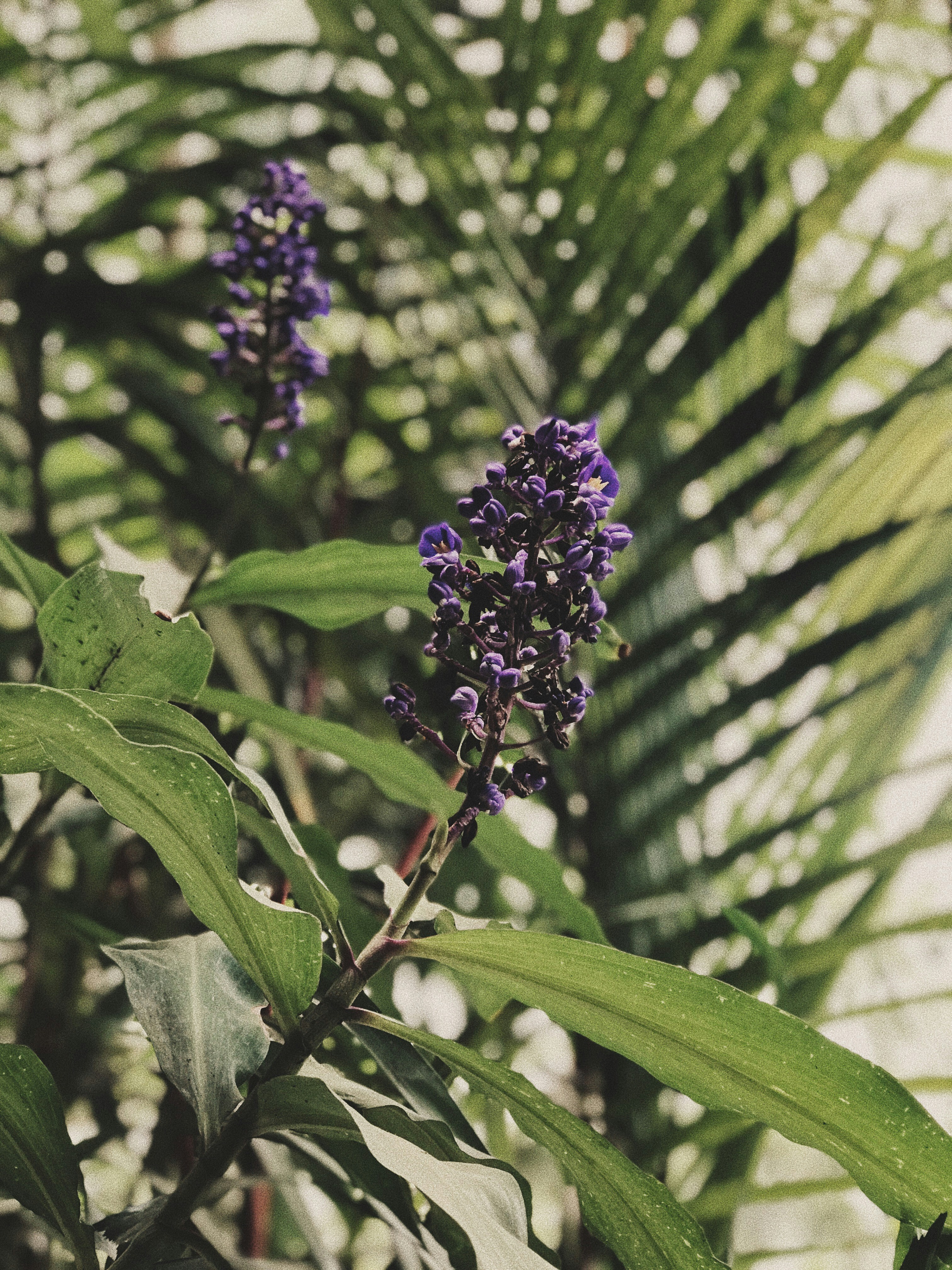 Photo by jmnyuson