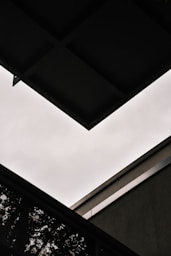 a black and white photo of a skylight and a building