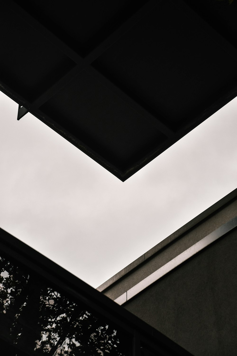 a black and white photo of a skylight and a building