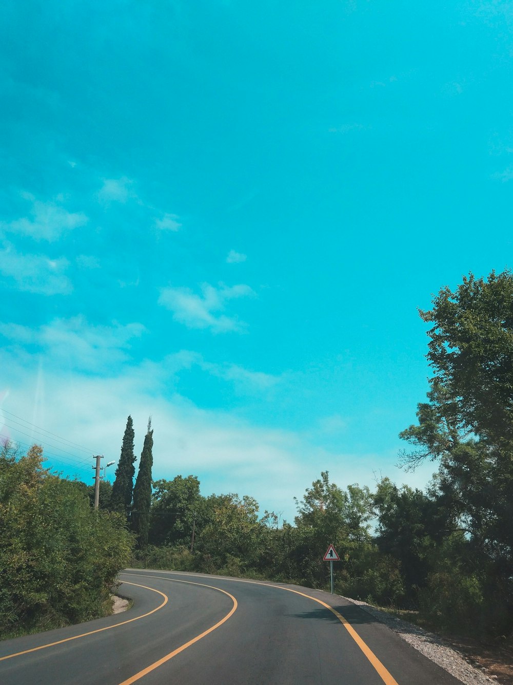 Strada vicino alla foresta