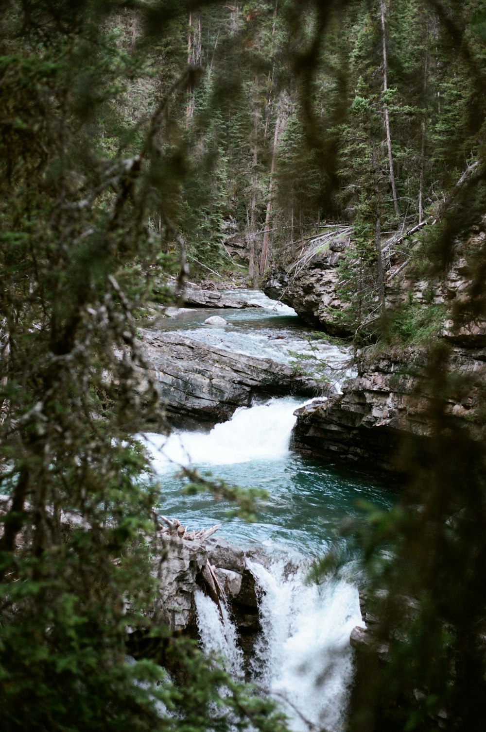 river during daytime