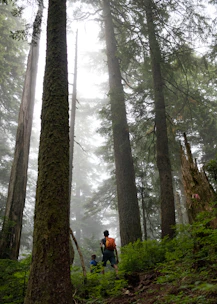 Parents and children hiking together on a lush green forest trail
