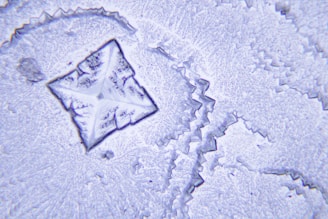 A close-up of a crystalline structure with intricate and sharp geometric patterns. The central feature is a diamond-shaped formation with jagged edges and a fine texture, suggesting a magnified view. Various shades of blue and white highlight the details, creating a visually striking contrast.