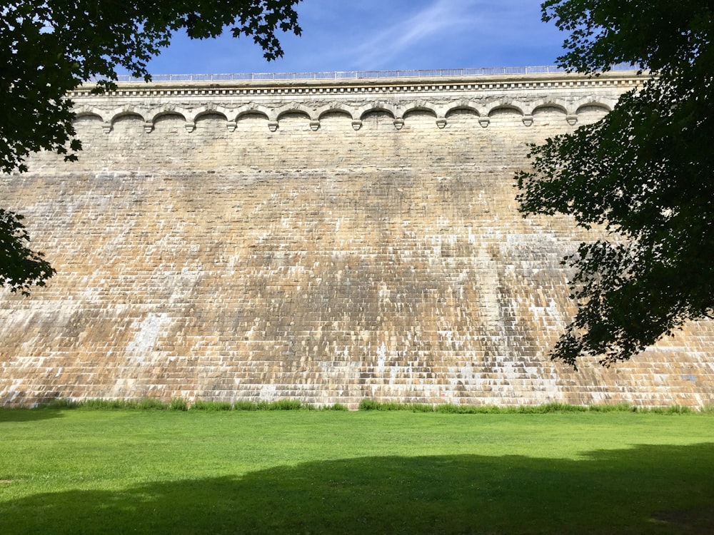 concrete wall at the garden