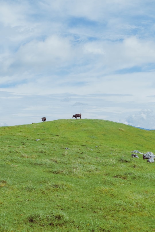 Shikoku Karst things to do in Matsuno