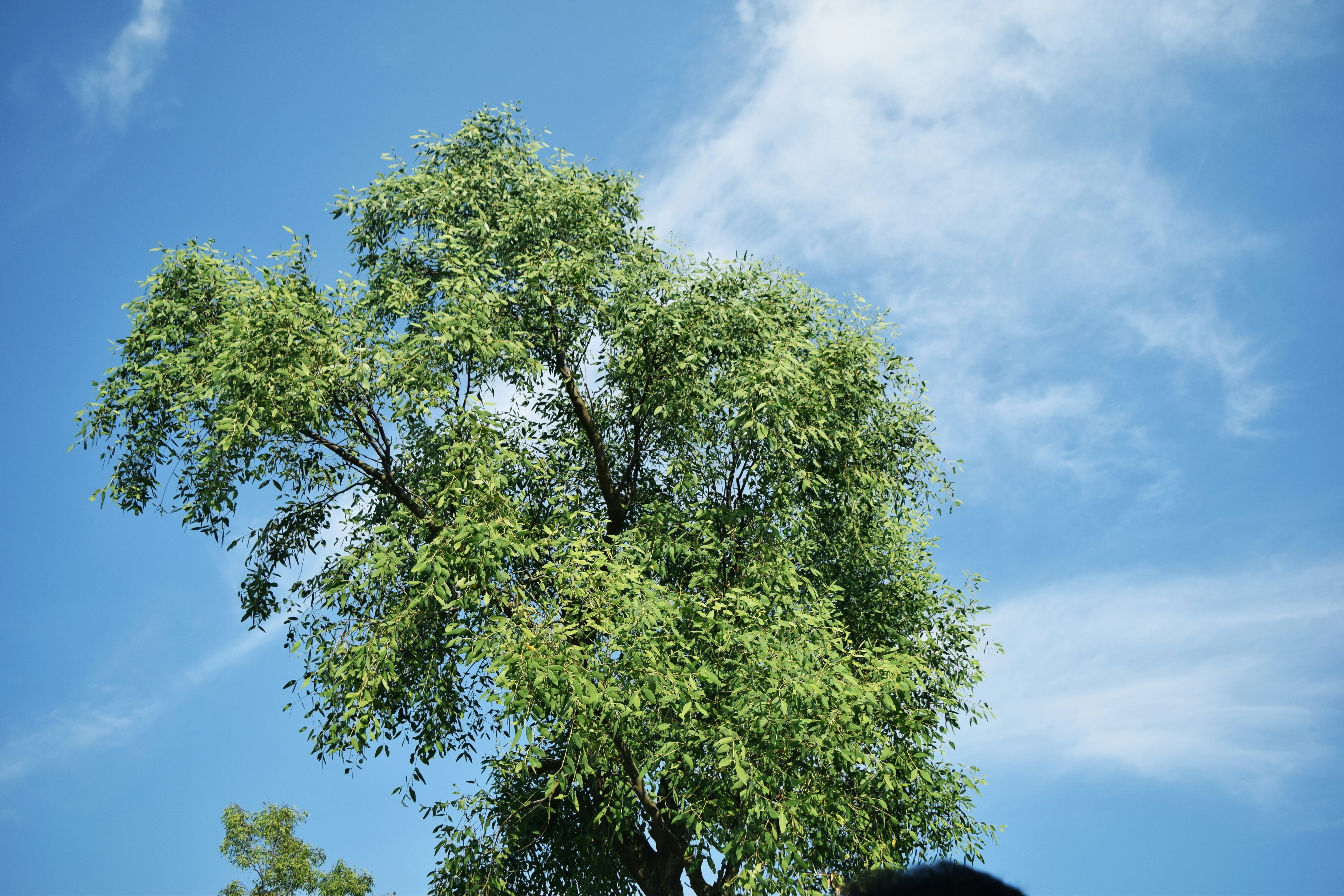 Photo by ideaz_sabbir