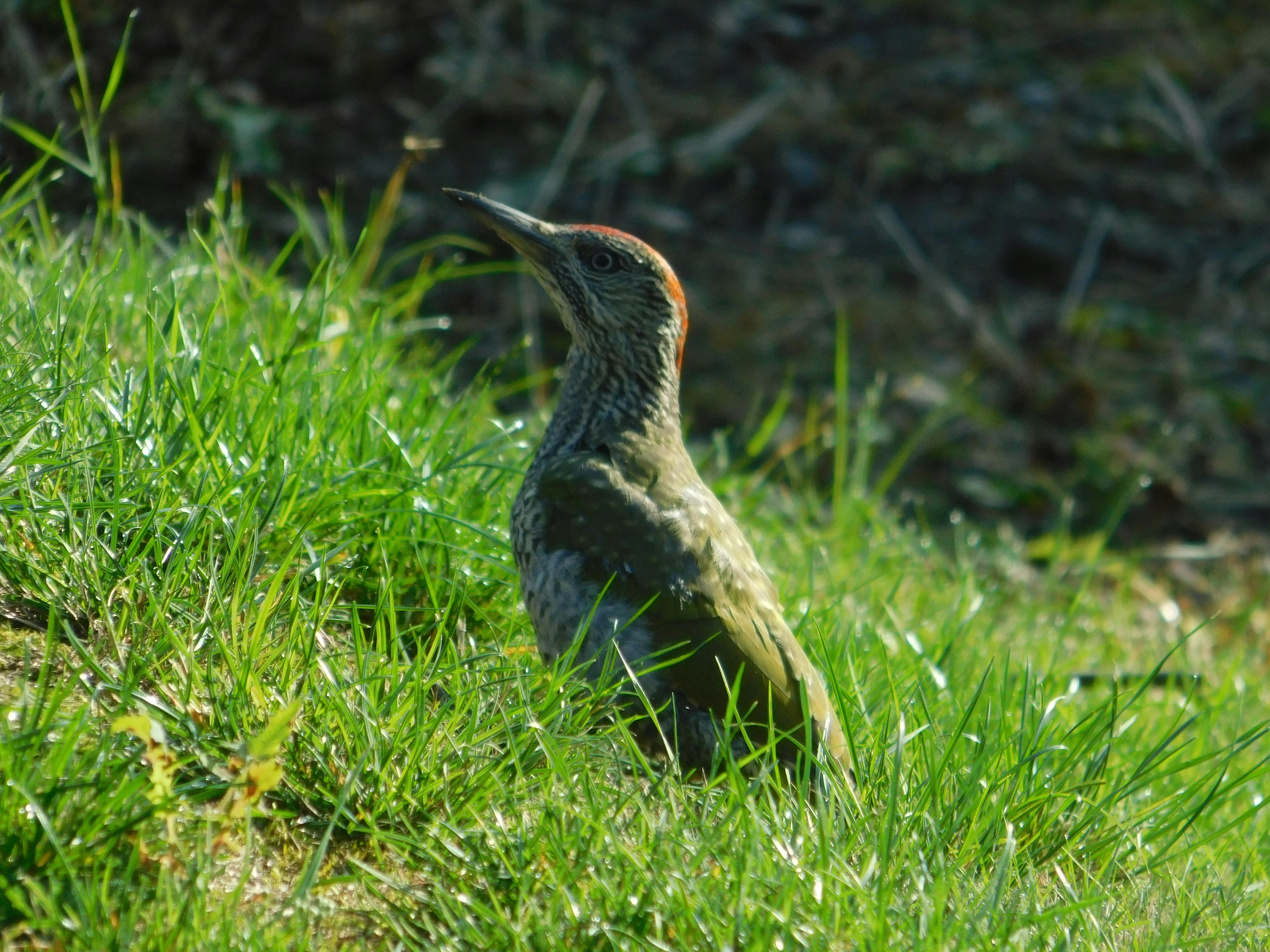 Photo by georgeturner