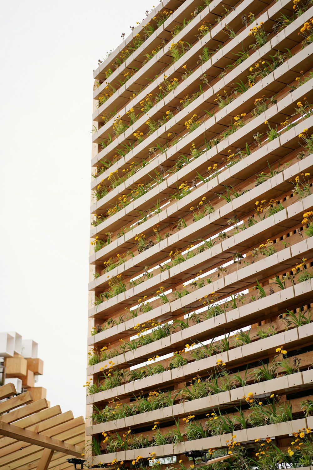 green leaf plants near buildings