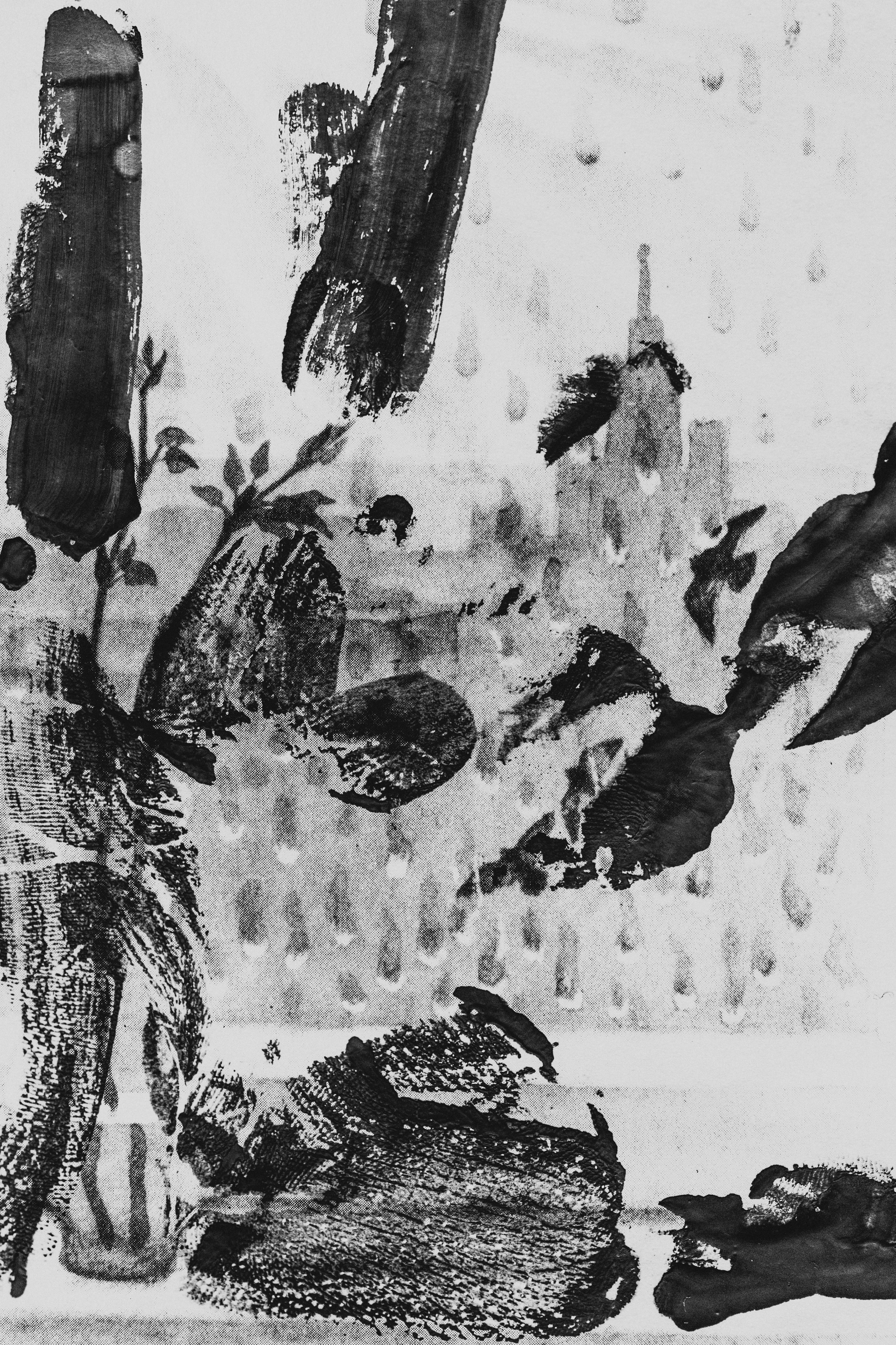 Photo by marjan_blan