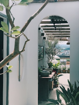 A serene outdoor space featuring a white wall with an archway leading to a terrace. The area is adorned with various potted plants, and a wooden countertop with stone basins. Natural light filters through a pergola overhead, and mountains can be seen in the background.