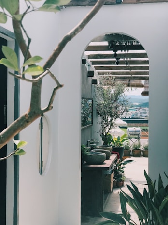 A serene outdoor space featuring potted herbs and greenery.