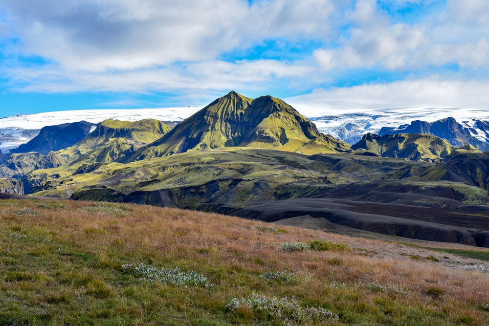 a grassy field with a mountain in the background