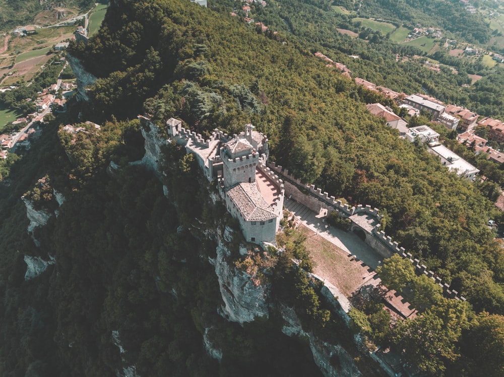 aerial view of trees and castle during daytime